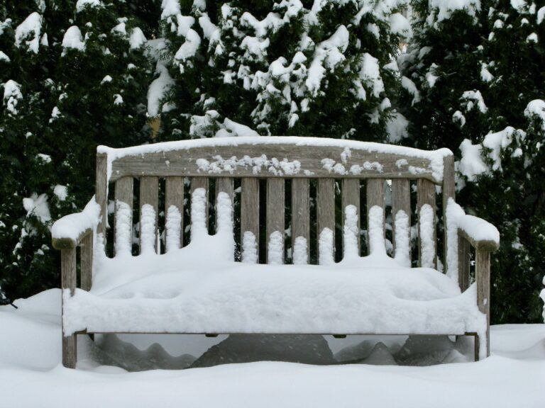 free winter activities greensboro