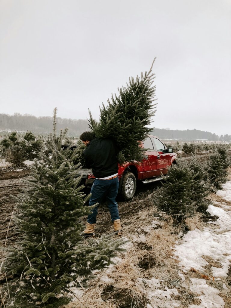 Christmas Tree Farms and Lots in Greensboro
