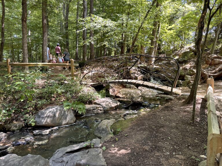 Beautiful Outdoor Gardens in Greensboro, NC to Explore