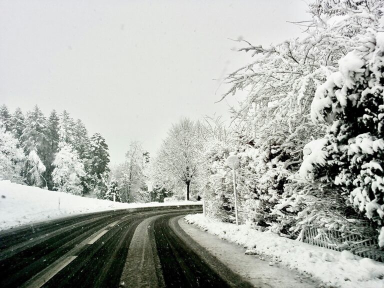 Road in Winter surrounded by trees with snow