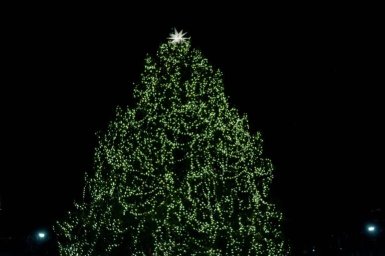 Holiday Parades and Tree Lightings in Greensboro, High Point, and Surrounding Towns