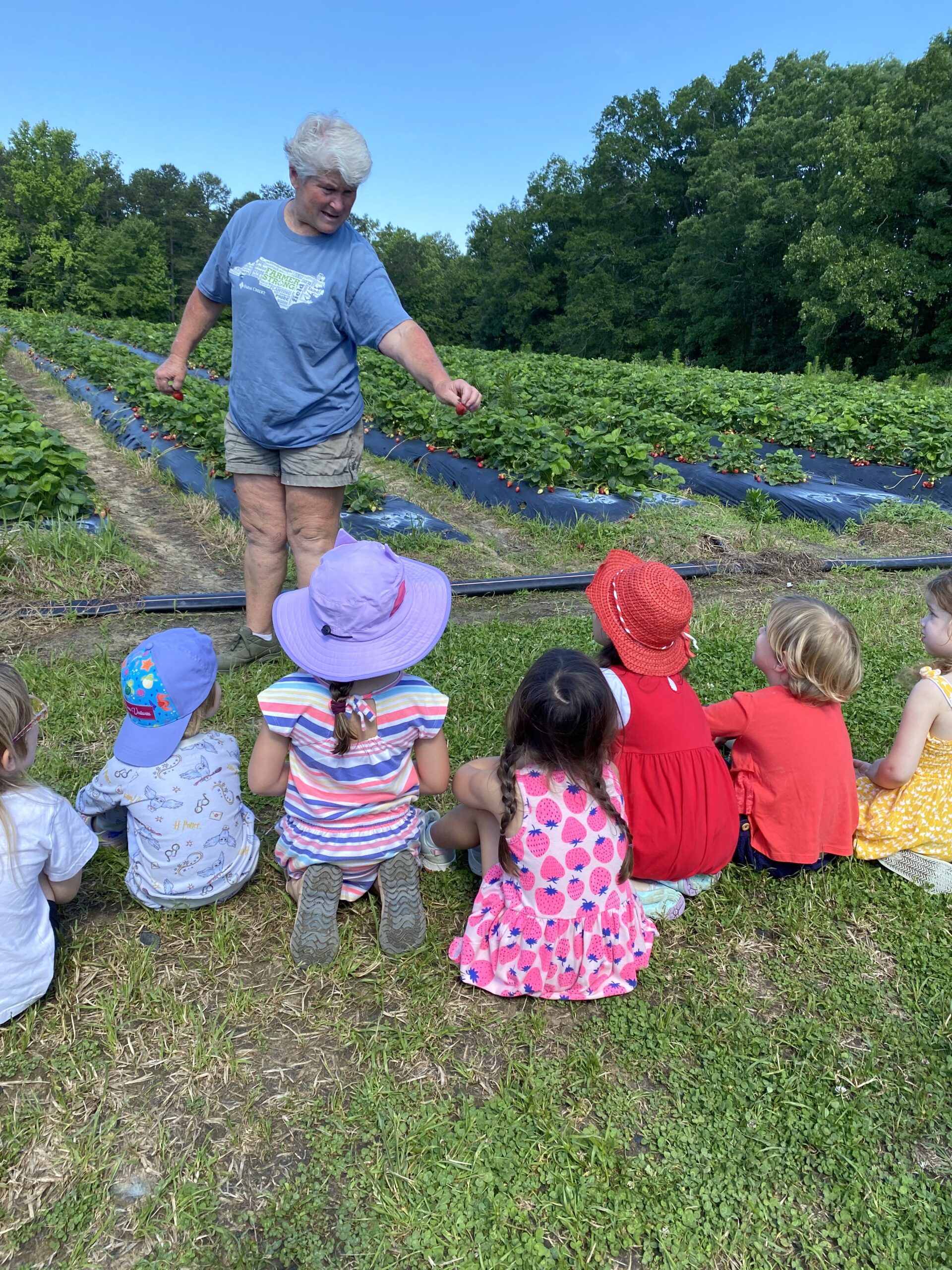 Ingrams Farm for strawberry farms near greensboro