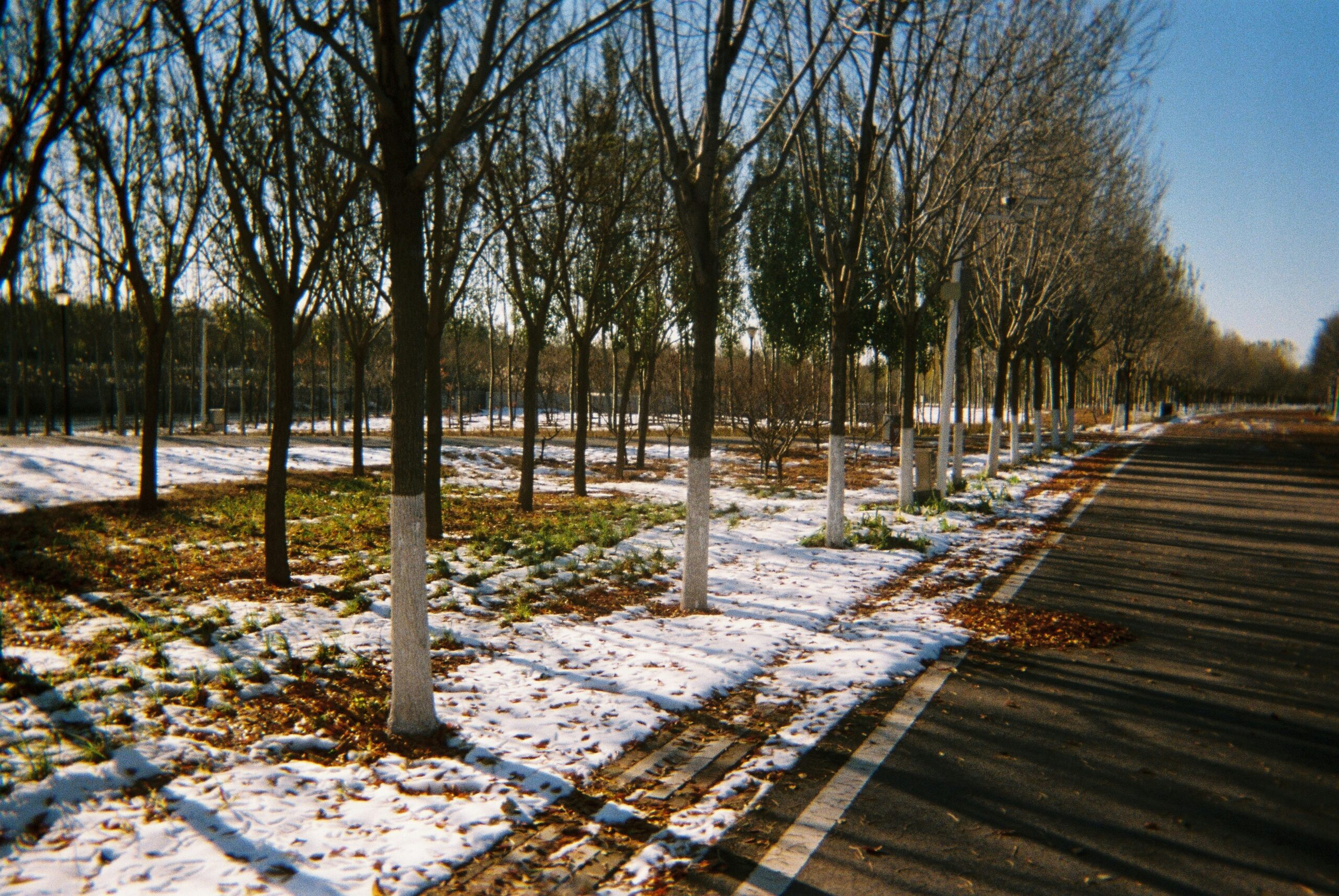 things to do in january greensboro