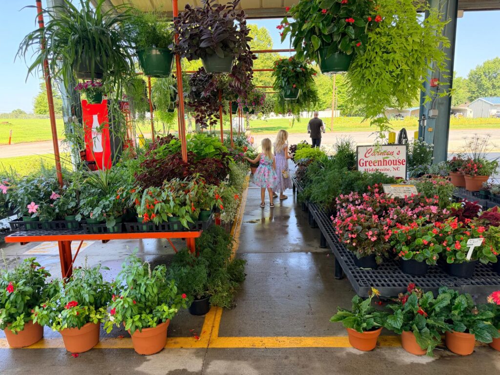 Piedmont Triad Farmers Market plants