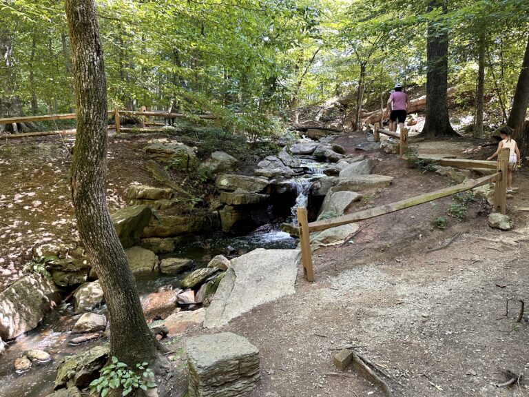 Best Things to Do This Spring in Greensboro, NC (2026 Guide)