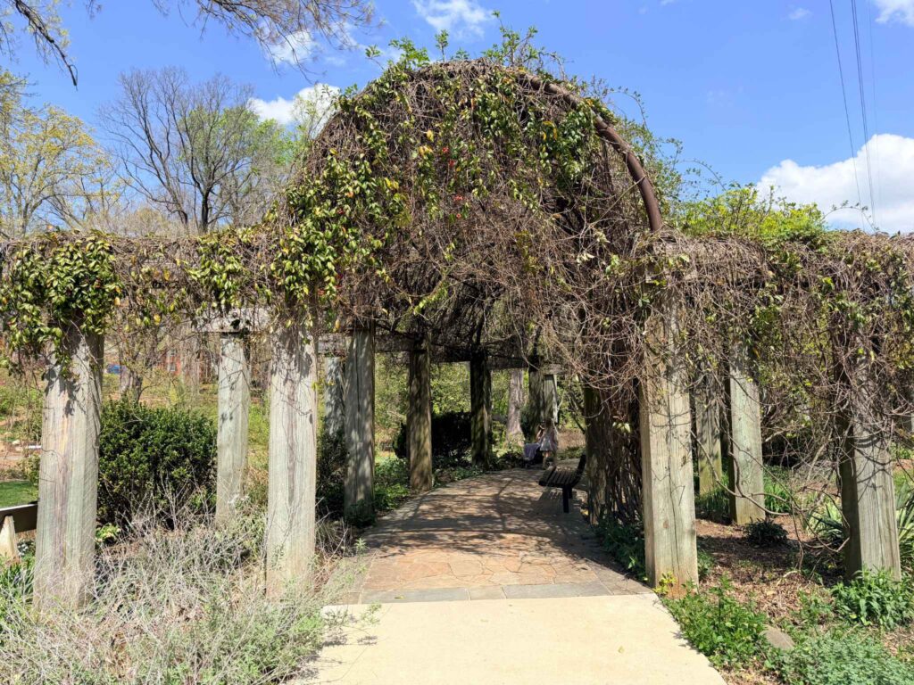 Greensboro Arboretum Trellis