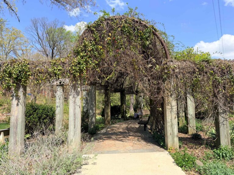 Greensboro Arboretum Trellis