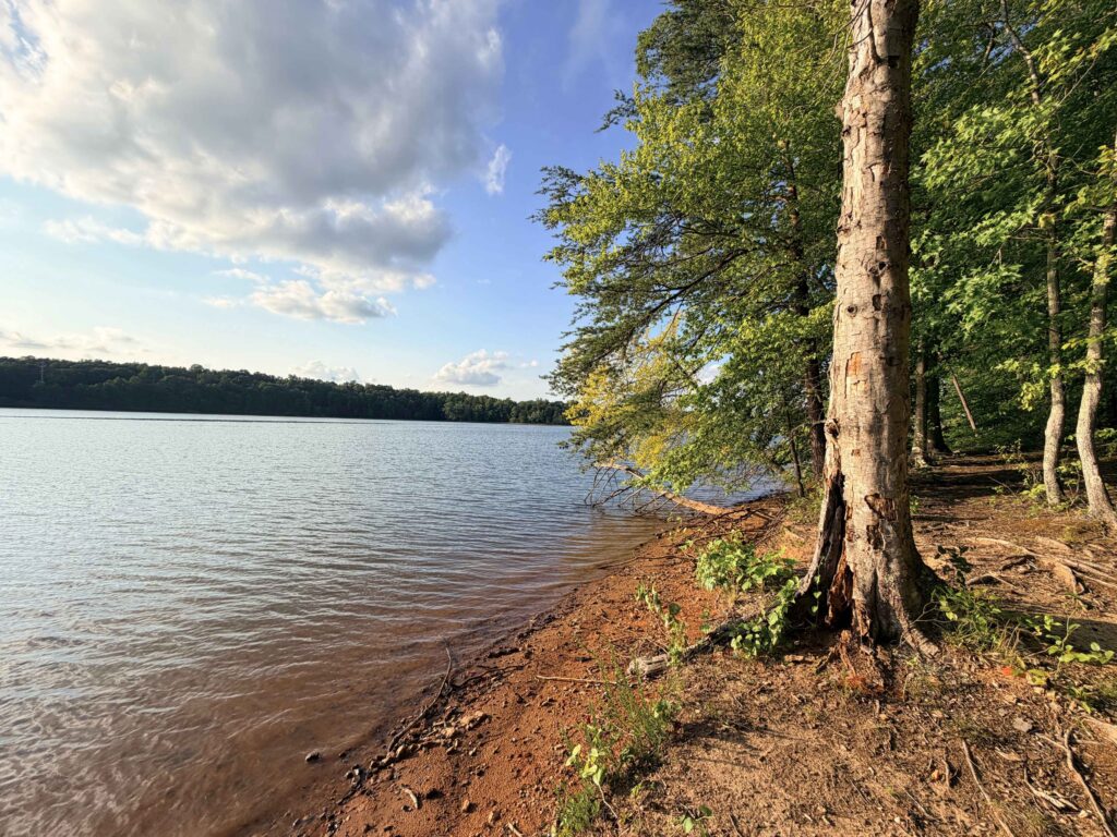 Lake Townsend Trail