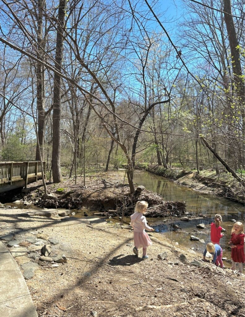 Bog Garden greensboro nc