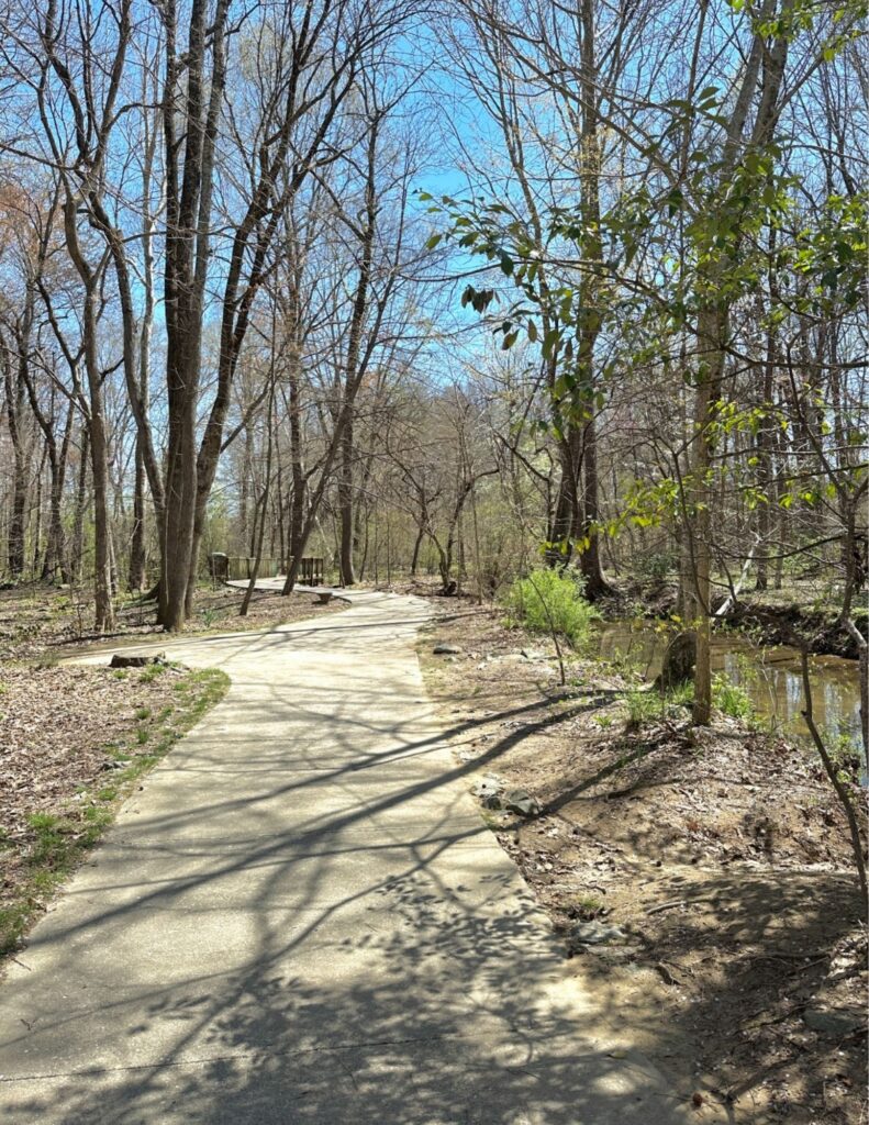 Bog Garden greensboro nc