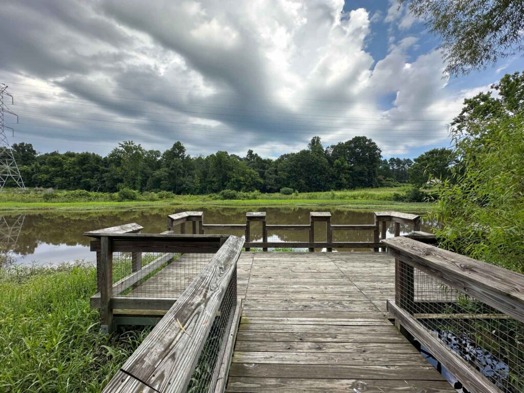 Wetland Overlook area at Company Mill Preserve in Climax, NC Near Greensboro