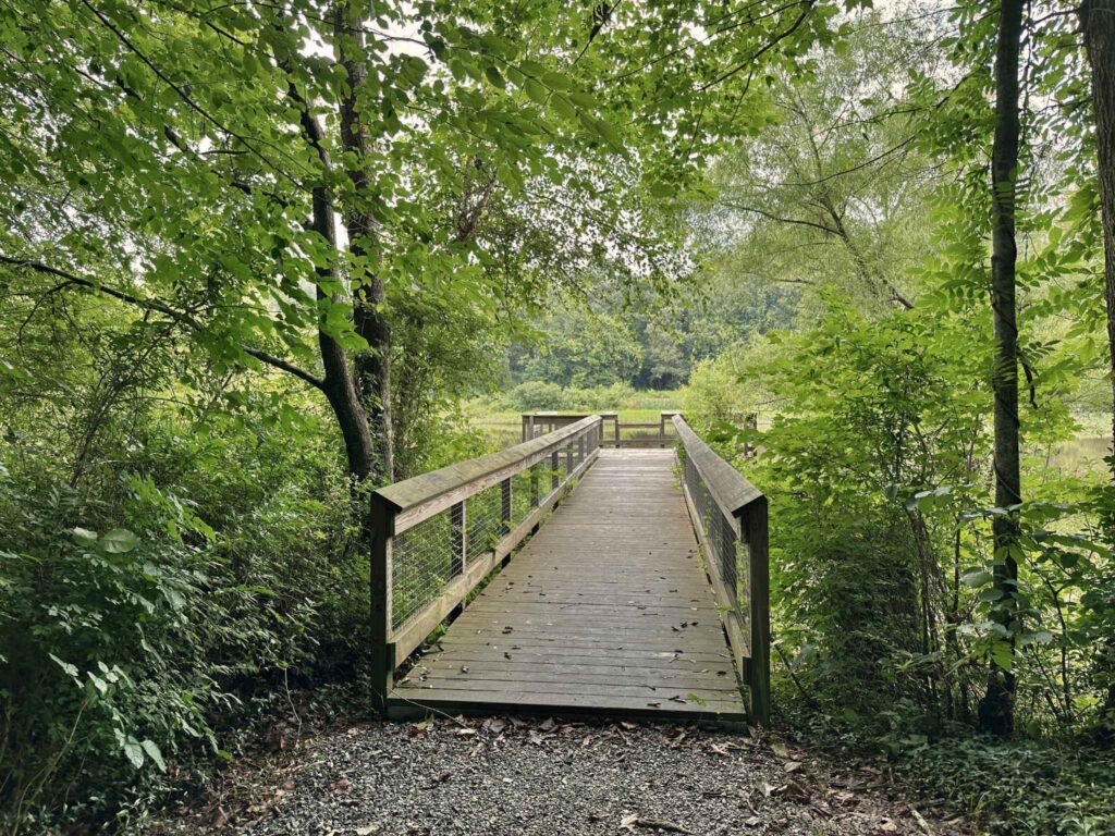 Wildlife Overlook area at Company Mill Preserve in Climax, NC Near Greensboro 