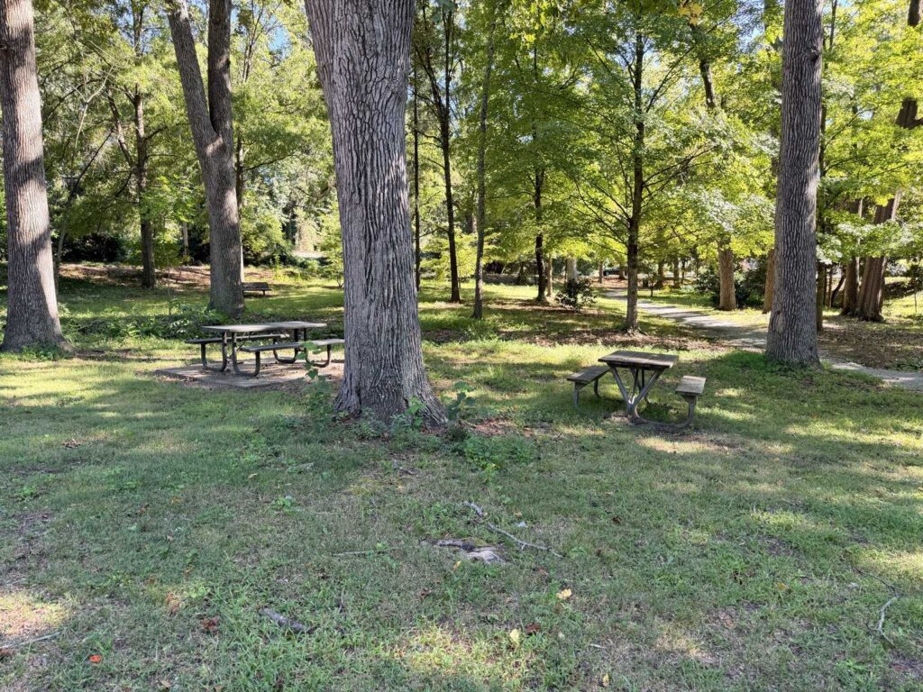 Picnic tables at Fisher Park Greensboro, NC