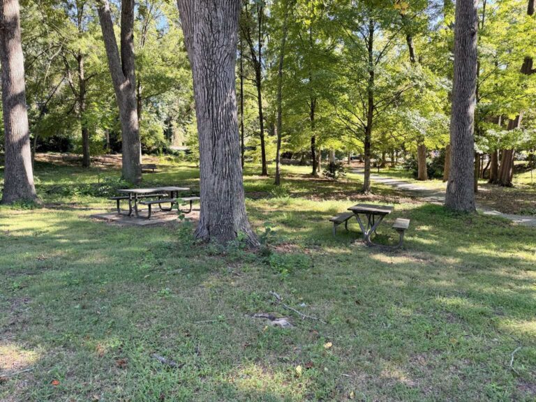 Picnic tables at Fisher Park Greensboro, NC