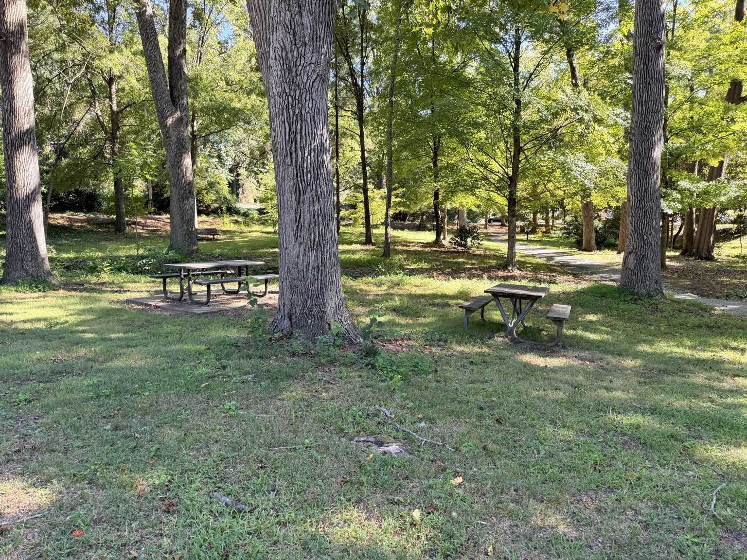 Picnic tables at Fisher Park Greensboro, NC