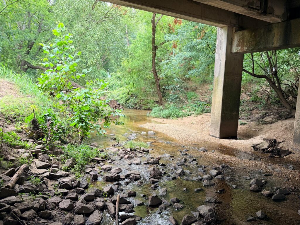 Lake Daniel Greenway under a bridge