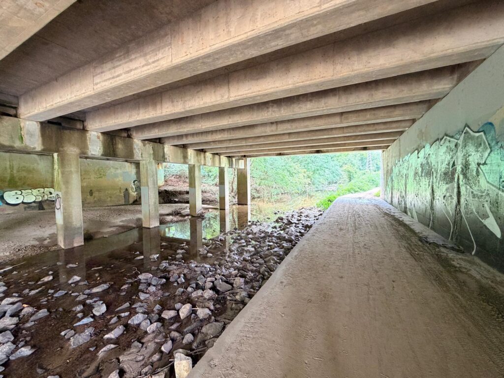 Lake Daniel Greenway under a bridge