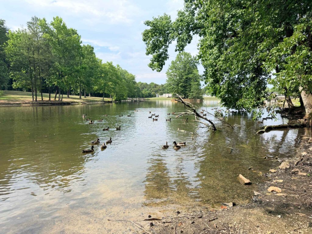 Pond at Oka T. Hester Park in Greensboro