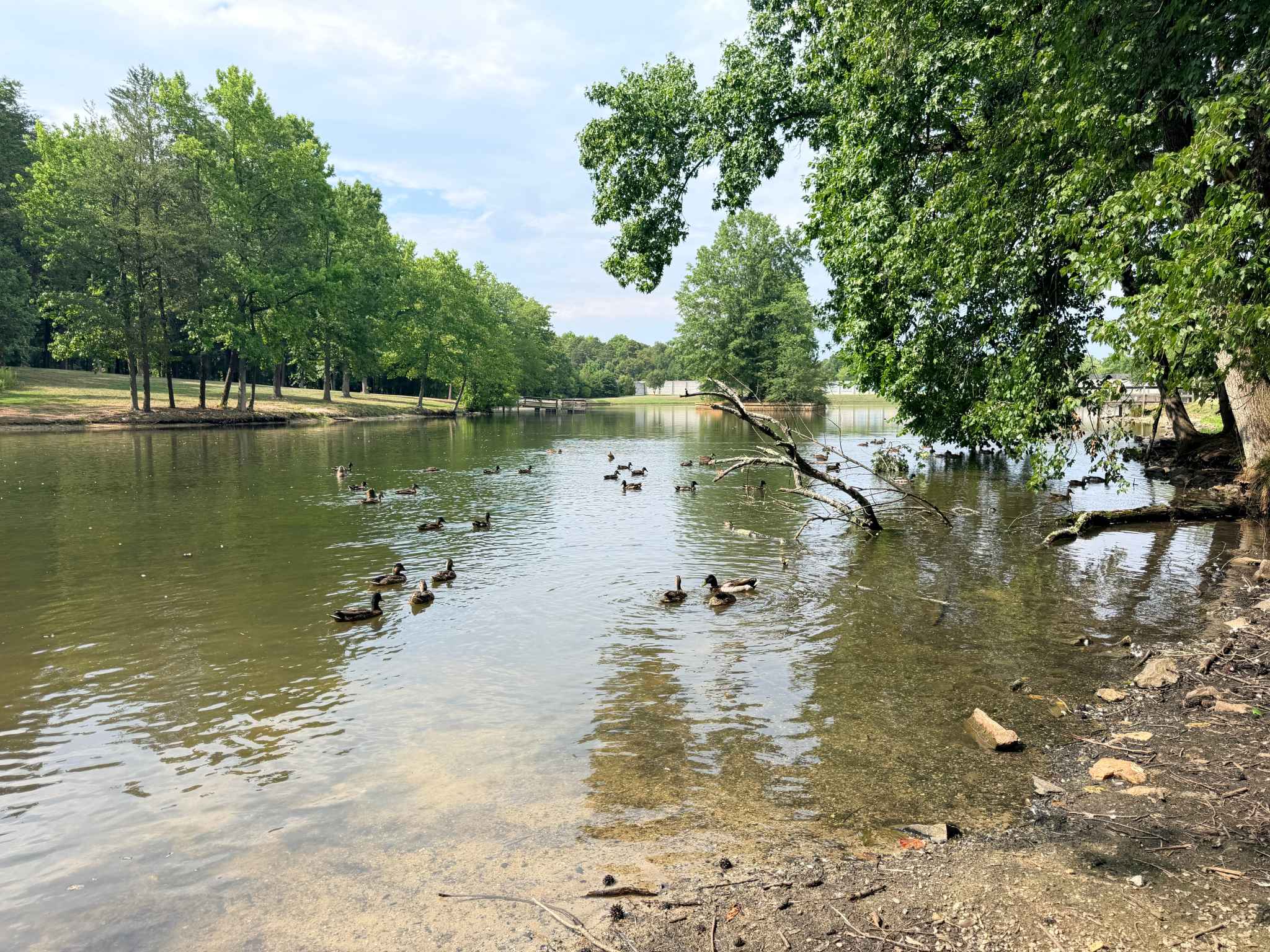 Pond at Oka T. Hester Park in Greensboro