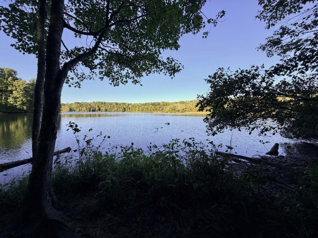 Lake Views from the Palmetto Trail in Greensboro NC