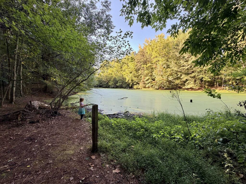 Pond Views from the Palmetto Trail in Greensboro NC