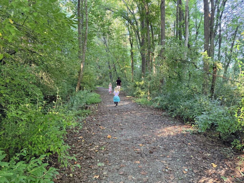 Palmetto Trail in Greensboro NC