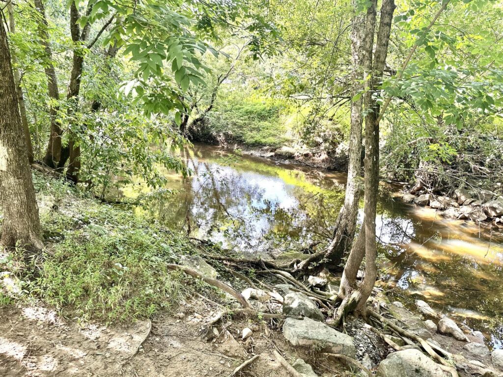 Lake Daniel Greenway river creek