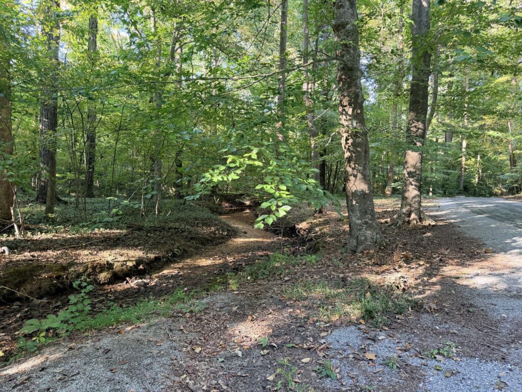 Hamilton Lakes Park Greensboro