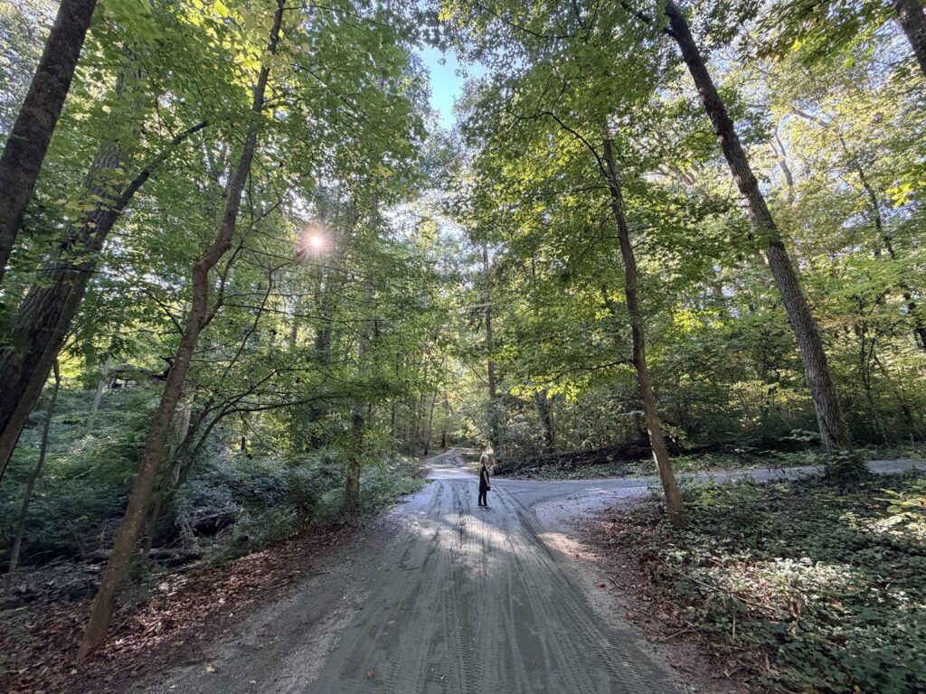 Hamilton Lakes Park Greensboro