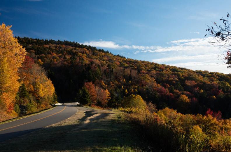 Blue Ridge Parkway IN FALL COLORS